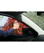 Soft99 Glass Cleaning Wipes (Anti-Fog) - Servetele curatare parbriz anti ceata Soft 99 - 3