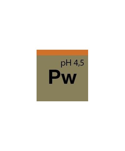 Koch Chemie PW Protector Wax - Ceara lichida Koch Chemie - 2