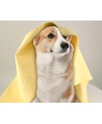 Synthetic Chamois - Laveta sticla si alte suprafete 40x30cm